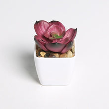 Load image into Gallery viewer, Erxiaobao Lovely Artificial Plants with Pot Simulation Succulents Mini Bonsai Potted Placed Green Fake Plants Table Decoration
