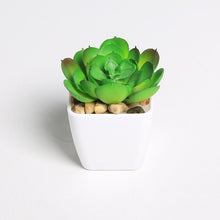Load image into Gallery viewer, Erxiaobao Lovely Artificial Plants with Pot Simulation Succulents Mini Bonsai Potted Placed Green Fake Plants Table Decoration
