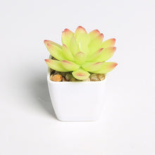Load image into Gallery viewer, Erxiaobao Lovely Artificial Plants with Pot Simulation Succulents Mini Bonsai Potted Placed Green Fake Plants Table Decoration
