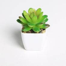 Load image into Gallery viewer, Erxiaobao Lovely Artificial Plants with Pot Simulation Succulents Mini Bonsai Potted Placed Green Fake Plants Table Decoration
