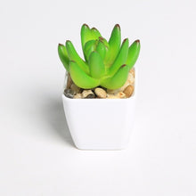 Load image into Gallery viewer, Erxiaobao Lovely Artificial Plants with Pot Simulation Succulents Mini Bonsai Potted Placed Green Fake Plants Table Decoration
