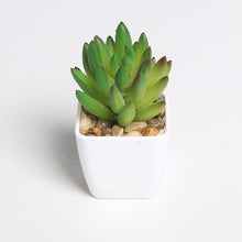 Load image into Gallery viewer, Erxiaobao Lovely Artificial Plants with Pot Simulation Succulents Mini Bonsai Potted Placed Green Fake Plants Table Decoration
