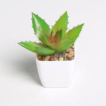 Load image into Gallery viewer, Erxiaobao Lovely Artificial Plants with Pot Simulation Succulents Mini Bonsai Potted Placed Green Fake Plants Table Decoration
