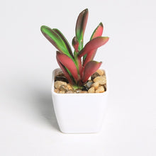 Load image into Gallery viewer, Erxiaobao Lovely Artificial Plants with Pot Simulation Succulents Mini Bonsai Potted Placed Green Fake Plants Table Decoration
