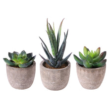 Load image into Gallery viewer, Artificial Succulent Plants Fake Artificial Bonsai with Pots Decorative Ball Plants Artificial Flower Mini Plants
