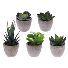 Load image into Gallery viewer, Artificial Succulent Plants Fake Artificial Bonsai with Pots Decorative Ball Plants Artificial Flower Mini Plants
