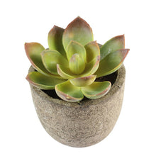 Load image into Gallery viewer, Artificial Succulent Plants Fake Artificial Bonsai with Pots Decorative Ball Plants Artificial Flower Mini Plants
