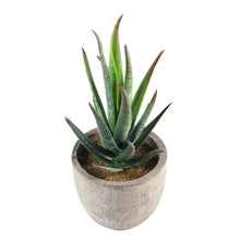 Load image into Gallery viewer, Artificial Succulent Plants Fake Artificial Bonsai with Pots Decorative Ball Plants Artificial Flower Mini Plants
