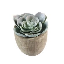 Load image into Gallery viewer, Artificial Succulent Plants Fake Artificial Bonsai with Pots Decorative Ball Plants Artificial Flower Mini Plants
