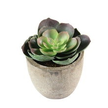 Load image into Gallery viewer, Artificial Succulent Plants Fake Artificial Bonsai with Pots Decorative Ball Plants Artificial Flower Mini Plants
