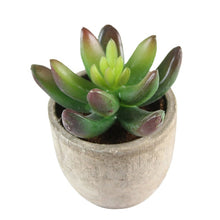 Load image into Gallery viewer, Artificial Succulent Plants Fake Artificial Bonsai with Pots Decorative Ball Plants Artificial Flower Mini Plants

