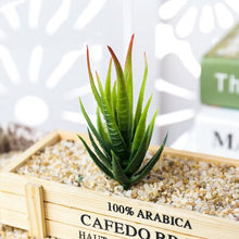 Load image into Gallery viewer, Assorted Realistic Green Faux Artificial Succulent Plants Aloe Foliage Fake Plastic Green Cactus Home Garden Decoration Hot Sale
