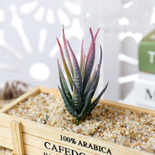 Load image into Gallery viewer, Assorted Realistic Green Faux Artificial Succulent Plants Aloe Foliage Fake Plastic Green Cactus Home Garden Decoration Hot Sale
