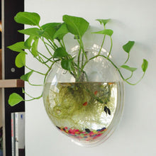 Load image into Gallery viewer, Garden Supplies Home Hanging Glass Ball Vase Flower Planter Pots Terrarium Container Home Garden Decoration
