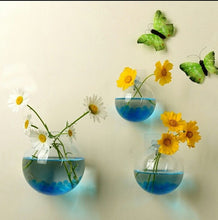 Load image into Gallery viewer, Garden Supplies Home Hanging Glass Ball Vase Flower Planter Pots Terrarium Container Home Garden Decoration
