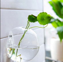 Load image into Gallery viewer, Garden Supplies Home Hanging Glass Ball Vase Flower Planter Pots Terrarium Container Home Garden Decoration
