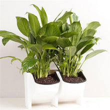 Load image into Gallery viewer, Stackable 2-Pockets Vertical Wall Planter Self Watering Hanging Garden Flower Pot Planter for Indoor/Outdoor
