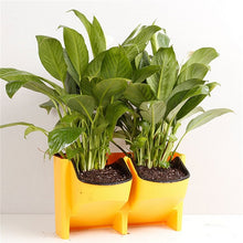 Load image into Gallery viewer, Stackable 2-Pockets Vertical Wall Planter Self Watering Hanging Garden Flower Pot Planter for Indoor/Outdoor
