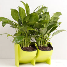 Load image into Gallery viewer, Stackable 2-Pockets Vertical Wall Planter Self Watering Hanging Garden Flower Pot Planter for Indoor/Outdoor
